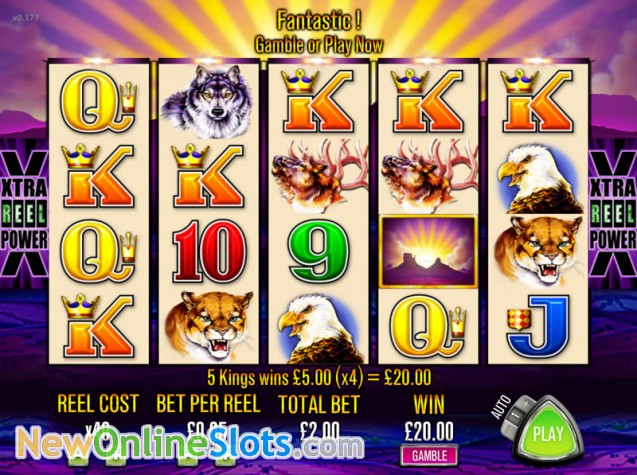 big buffalo slot wins big buffalo slot wins