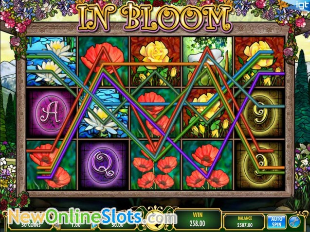 Slots gratis de cassino online Cats and Cash Slots gratis de cassino online Cats and Cash