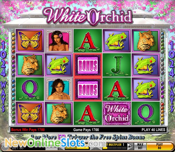 White orchid free slot games online White orchid free slot games online